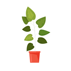 Free house plant clipart