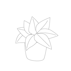 House plant in basket black and white clipart