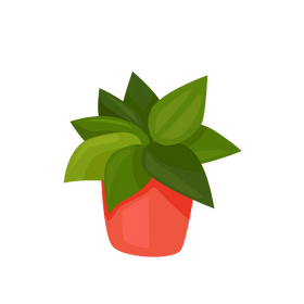 House plant in basket clipart