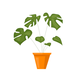 House plant cartoon clipart
