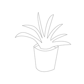 Plant in a basket drawing black and white clipart