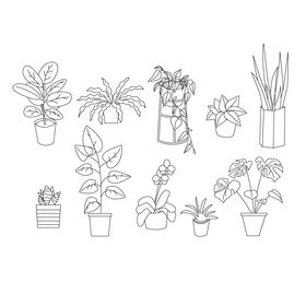 House plant black and white vector