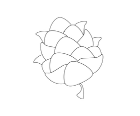 Beer hops plant black and white clipart