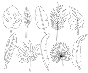 Cartoon leaves black and white vector