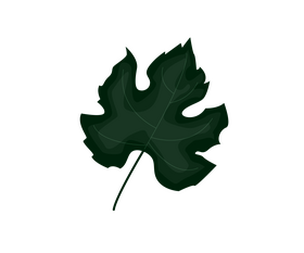 Leaf cartoon clipart