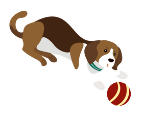 Cute dog playing with a ball illustration clipart
