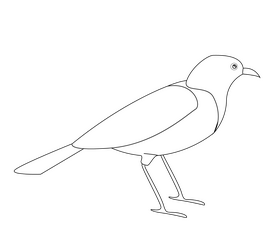 Cartoon crow bird black and white clipart