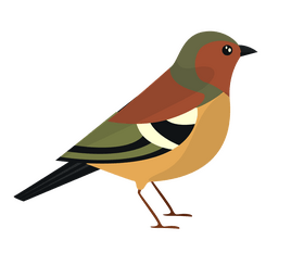 Cartoon lark bird clipart