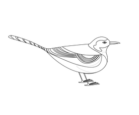 Gull bird illustration black and white clipart