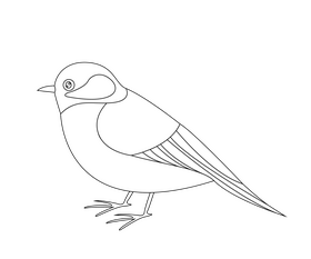 Free tit bird black and white clipart