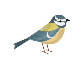 Tit bird clipart