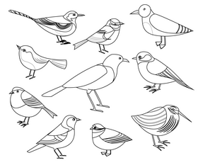 Set of birds black and white vector free download