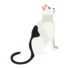 Bicolor cat clipart