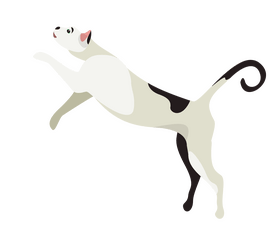 Jumping cat drawing clipart