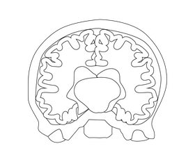 Brain inside black and white clipart