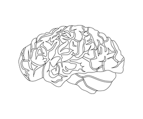 Brain drawing black and white clipart