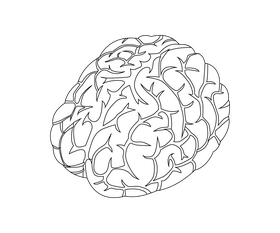Free brain black and white clipart