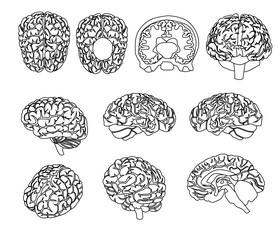 Cartoon brains black and white vector