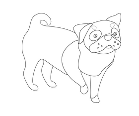 Cartoon pug dog black and white clipart