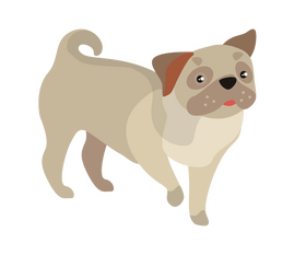 Cartoon pug dog clipart