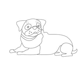 Brown pug puppy black and white clipart