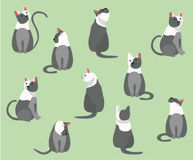 Sitting cats vector