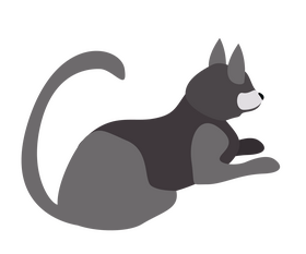 Dark cat illustration clipart