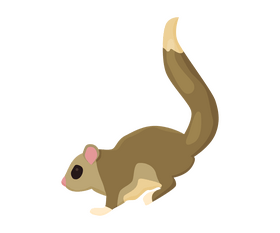 Flying squirrel cartoon clipart