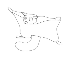 Flying squirrel black and white clipart