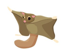Flying squirrel clipart