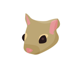 Squirrel face cartoon clipart