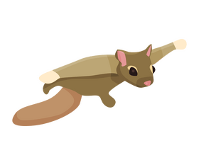 Flying squirrel drawing clipart