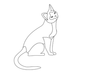 Sitting cat illustration black and white clipart