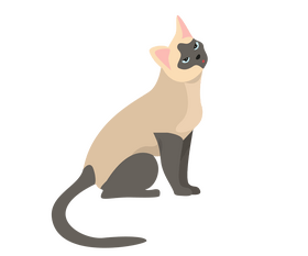 Sitting cat illustration clipart
