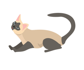 Cute cat clipart