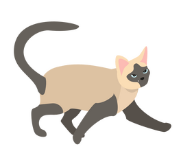 Cat cartoon clipart