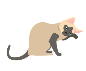 Gray cat drawing clipart