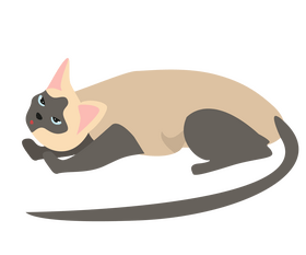 Cat drawing clipart
