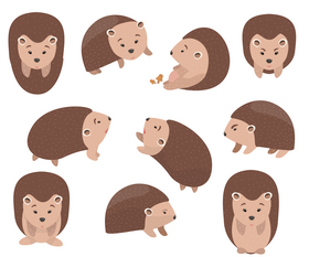 Hedgehogs vector