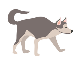 Husky dog clipart