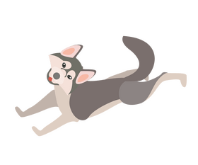 Husky dog drawing clipart