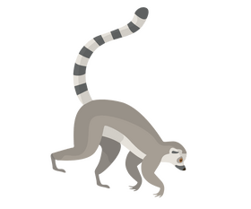Jungle lemur clipart
