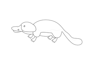 Platypus cartoon black and white clipart
