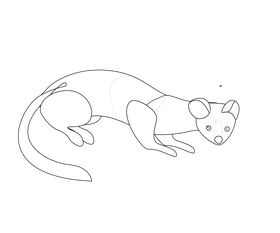 Cartoon least weasel black and white clipart free download