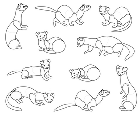 Least Weasel Vector Images