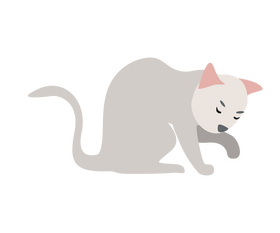 Light gray cat clipart