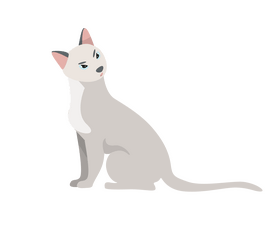 Light gray cat drawing clipart