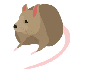 Mouse cartoon clipart