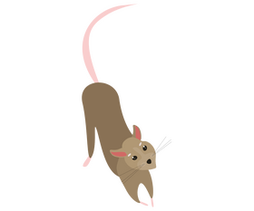 Jumping mouse cartoon clipart