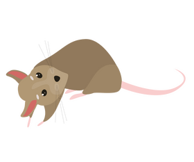Mouse clipart
